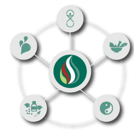 Diagrama das Práticas Integrativas e Complementares